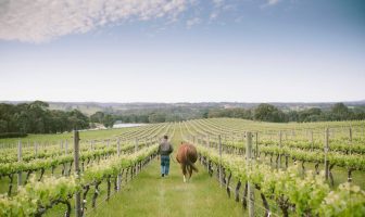 Australian wine industry finally united on leaving the world a better place Peter Fraser Yangarra Estate