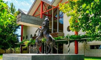 Chinese businessman buys Rymill Coonawarra Rymill Coonawarra