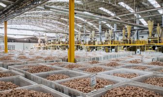 Cork Companies Struggling? The Opposite Is True Amorim Australasia