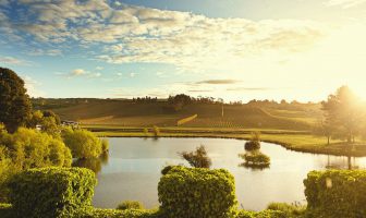 Tasmania Invites the Wine Trade to Visit Wine Tasmania