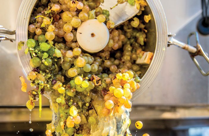 Riverland Winery Booming After Years in The Wilderness Riverland Winery Booming After Years in The Wilderness