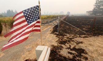 Devastating Wine Country Fires: How Australia Can Do Its Bit