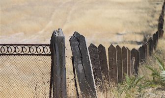 Seppeltsfield-Oatley Partnership Breaks 166-Year Wine Drought
