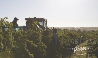 Picking Grapes And Helping The Homeless… It’s a ‘Beautiful Thing’