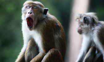 Don’t Be Lazy. Do Your F***ing Job: Kill Off That Dud Wine Product