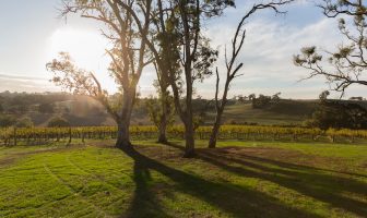 Before pickers arrive, talk to them about the farm-gate hygiene