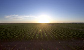 Here’s your chance to hone your skills in wine exports and tourism