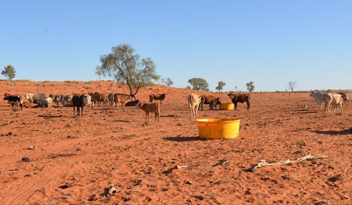 Angove family donates $20,000 to help drought-affected farmers