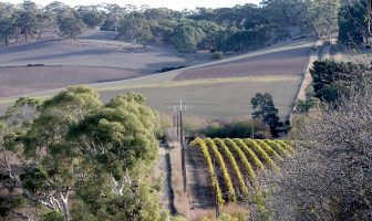 Upgraded tool highlights solution to tricky rootstock selection