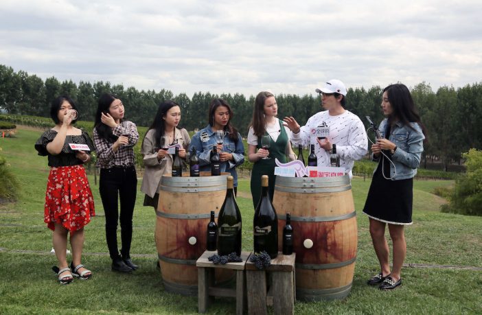 Livestreaming shines a light on Australian wines for Chinese consumers