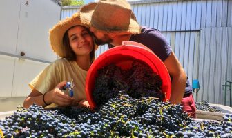 French honeymooners do their bit for vintage Down Under