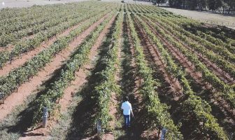 The Wine Collective wants to make things ‘more approachable’ for consumers