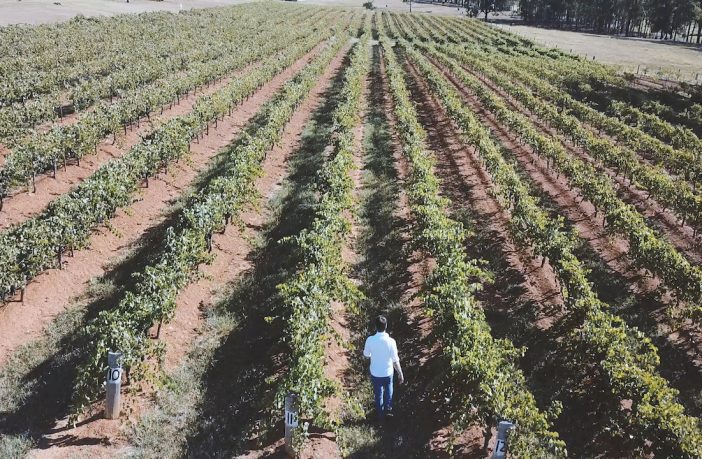 The Wine Collective wants to make things ‘more approachable’ for consumers