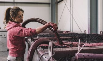 Winegrape quality high across the varieties in Rutherglen