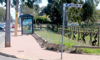 Patritti continues to have access to historic vineyard in suburban Adelaide