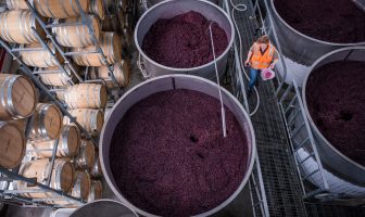 Survey shows wine industry wage increases above national average