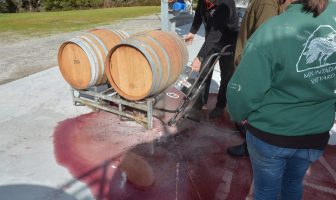 The best of the best making an impact in the Australian wine industry