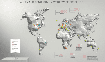 Lallemand hand in hand with the winemaking world