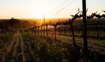 Wine sector worth a whopping $45.5 billion to the Australian economy