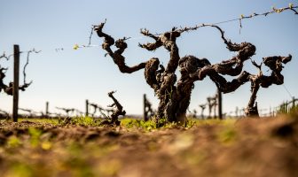 Australian wine exports hit $2.89 billion – value up, volume down