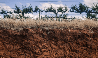 Independent review into the performance of Wine Australia Board